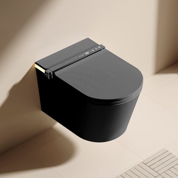 Intelligent Toilet Seat
